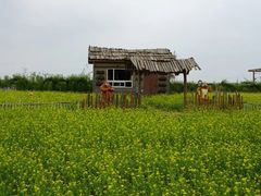 -鴜鹭湖生态旅游度假区