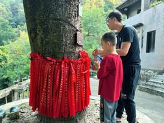 -飞霞风景名胜区