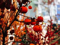 -花二家·生活馆(六运小区店)