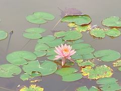 -广州市流溪河国家森林公园