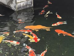 -长春观