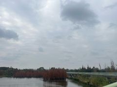 -白鹭湾湿地公园