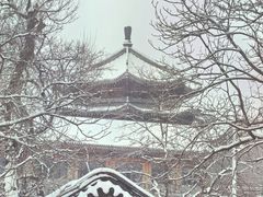 -北京凤凰岭