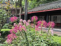 -峨眉山报国寺
