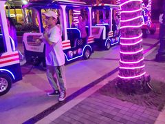 -三亚海昌梦幻海洋不夜城