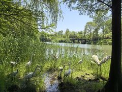 -溱湖国家湿地公园