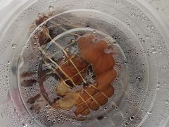 -老北京赵记酱肘子