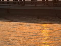 -演武大桥观景平台