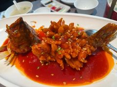 -秀儿四九城·新京菜(亚运村鸟巢店)