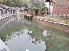 -姑婆山旅游区