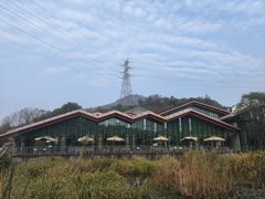 -西湖风景区-江洋畈生态公园