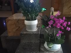 -黔蘑菇四季餐厅(观山湖店)