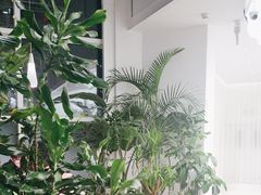 -大树餐厅(红旗街万达店)