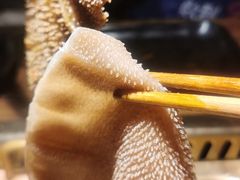 -九鼎轩脆毛肚火锅(三钢里店)