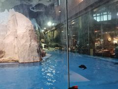 -帝企鹅自助餐厅•儿童岛•真企鹅(长隆企鹅酒店)