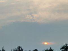 -CoCo都可(北京西站北广场店)