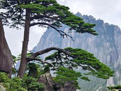 -黄山风景区