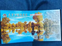 -金塔沙漠胡杨林景区