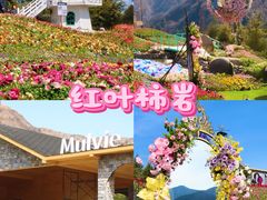 -淄博花灯齐彩城