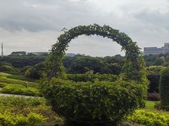 -东莞植物园