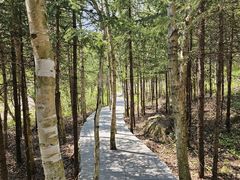 -三块石国家森林公园