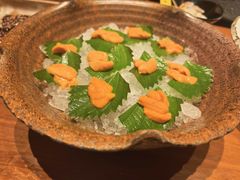 -月龍吟(朝龙汇店)
