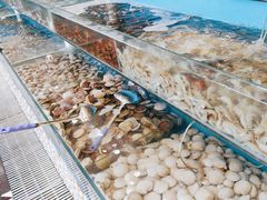 -港畔赶海蒸汽海鲜烧烤自助(仙螺岛店)