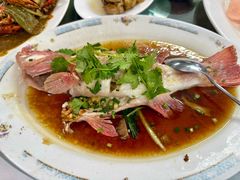 东星斑-新陶陶酒家