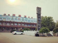 -东方巨龟苑景区