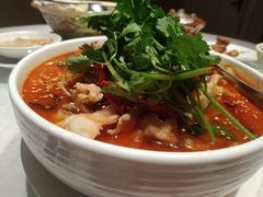 水煮龙趸鱼-宣和苑(华侨新村店)