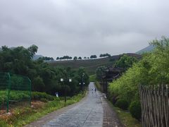 -帐篷客·溪龙茶谷度假酒店