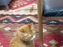 -Fun Job Art 零基础油画国画DIY画室(望京店)