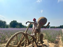 -渔岛海洋度假区