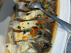 -院里寻菜·精致庭院菜(观沙岭店)