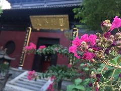 -菩提素食·私房菜(首辅路店)