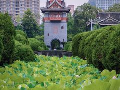 -四川大学(华西校区)