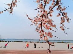 -丁香湖公园