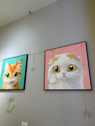-洗脸猫·洗脸吧