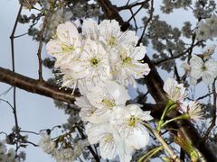 -漫渡庄绿岛花园•隐世庭园菜(滨湖店)