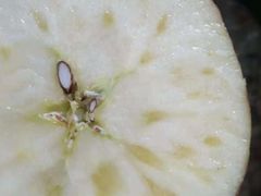 -新丰石磨坊豊记石磨肠粉(杏花苑店)