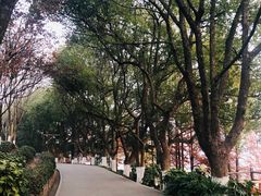 -天目湖山水园