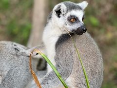 -乐和乐都主题乐园