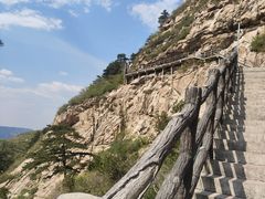 -大芦花风景区