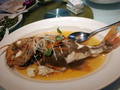 -席家花园(巨鹿花园店)