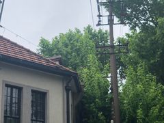 -Fridi Patisserie Cafe