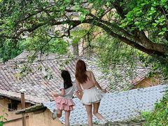 -杨家堂村