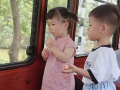 -合肥滨湖国家森林公园