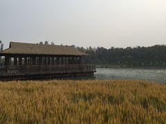 -乌村