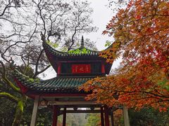 -岳麓山风景名胜区