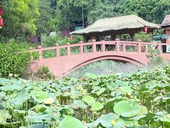-广州莲花山旅游区